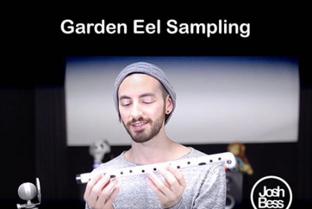 Groove3 Garden Eel Sampling TUTORiAL